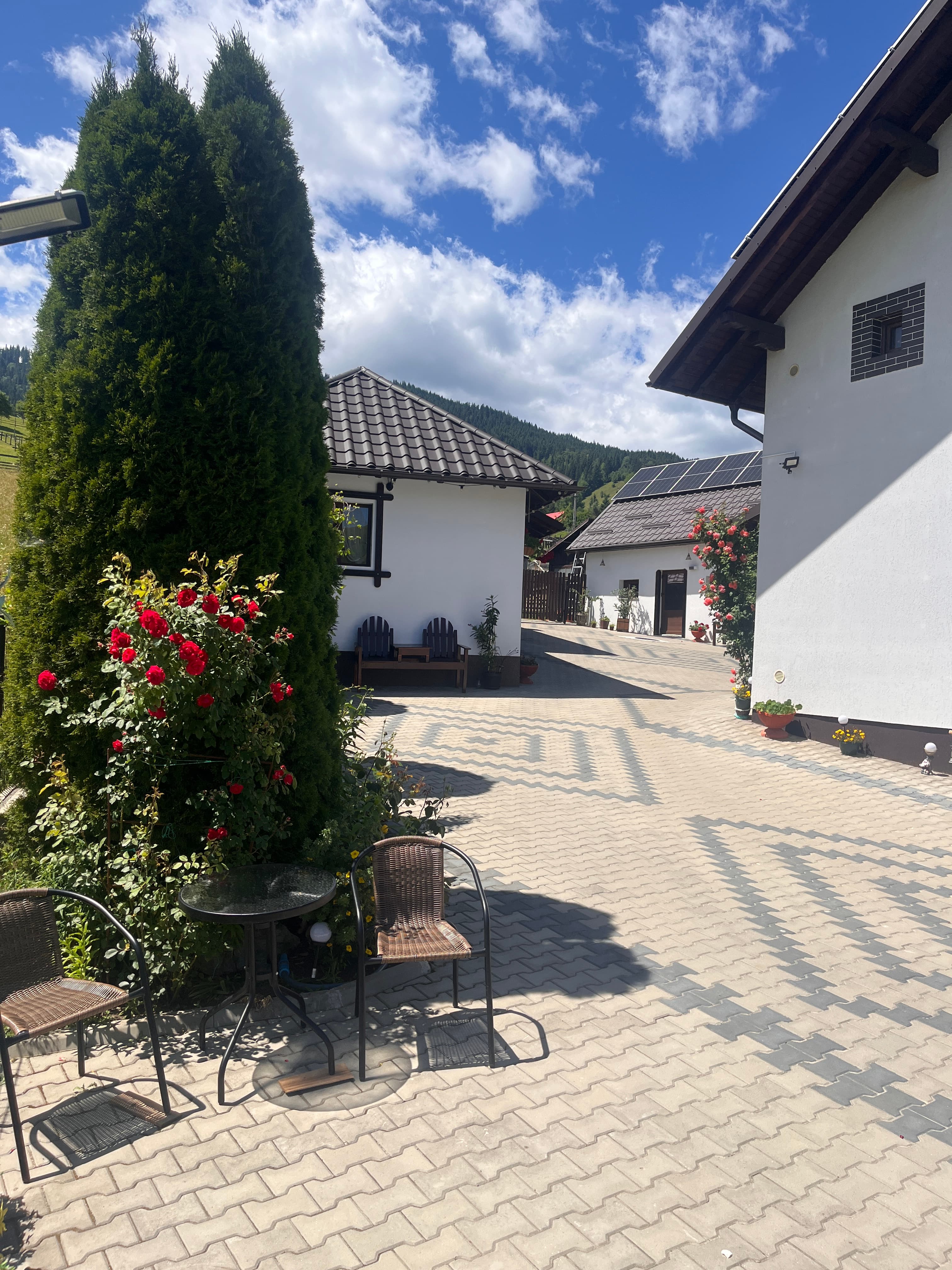 Casa de pe Deal Sadova - Imagine 4